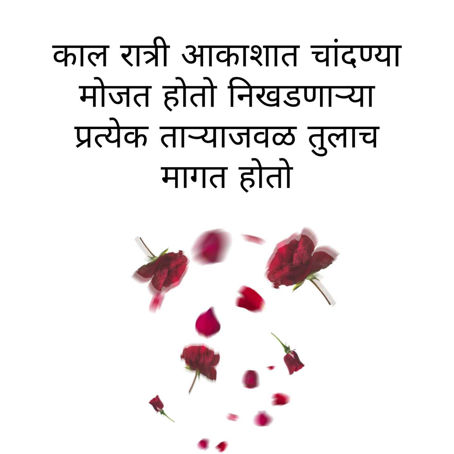 Marathi Shayari